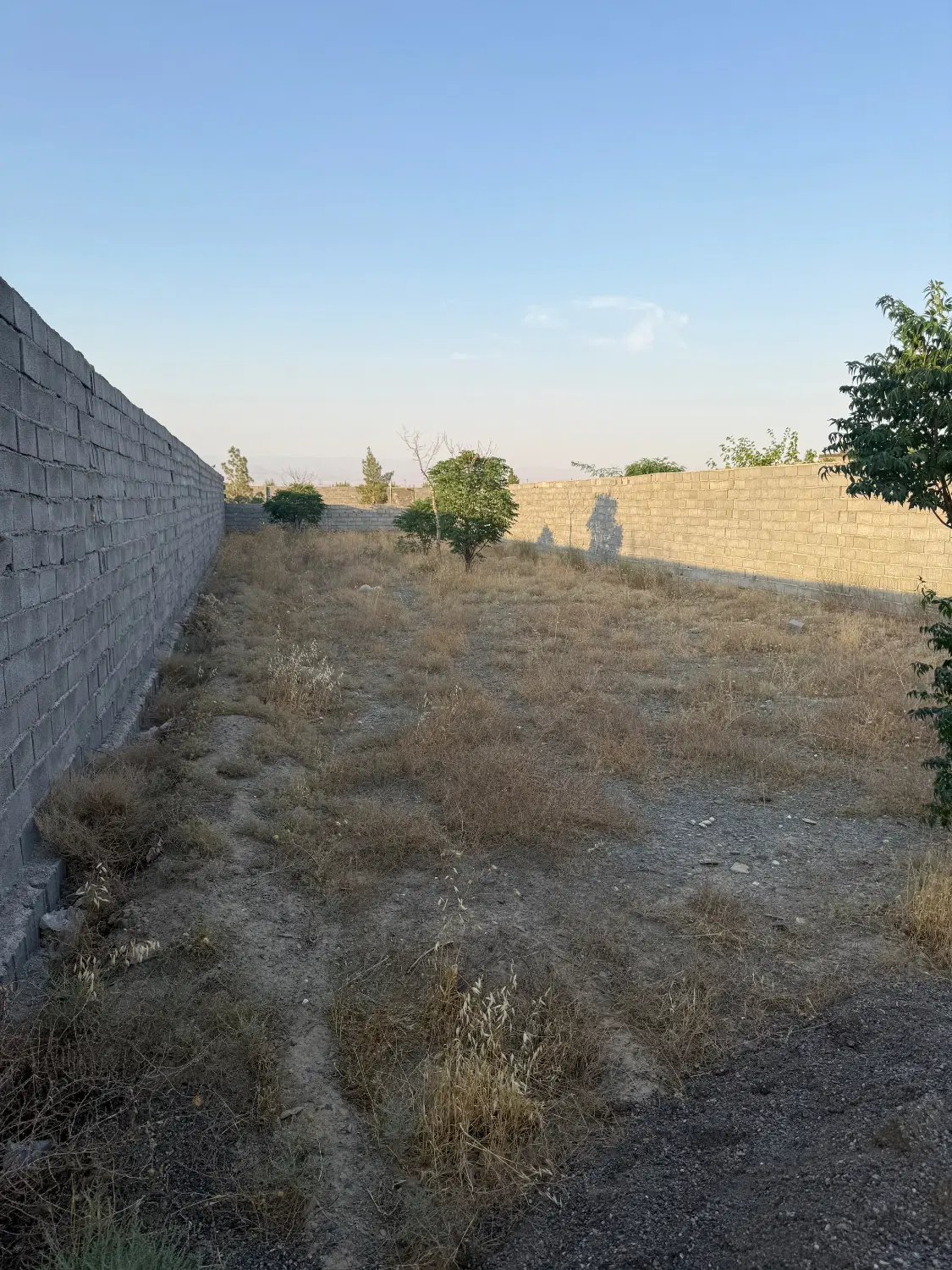 باغ ویلا_زمین_شاندیز