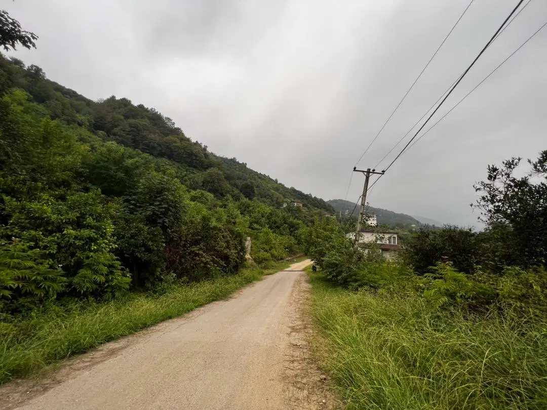 زمین ۲۴۰متری خوش نقشه