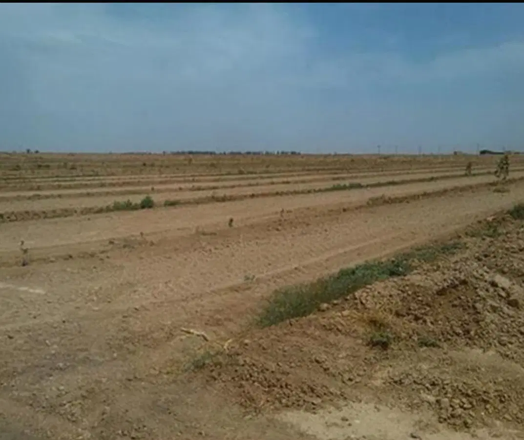 زمین مناسب باغچه