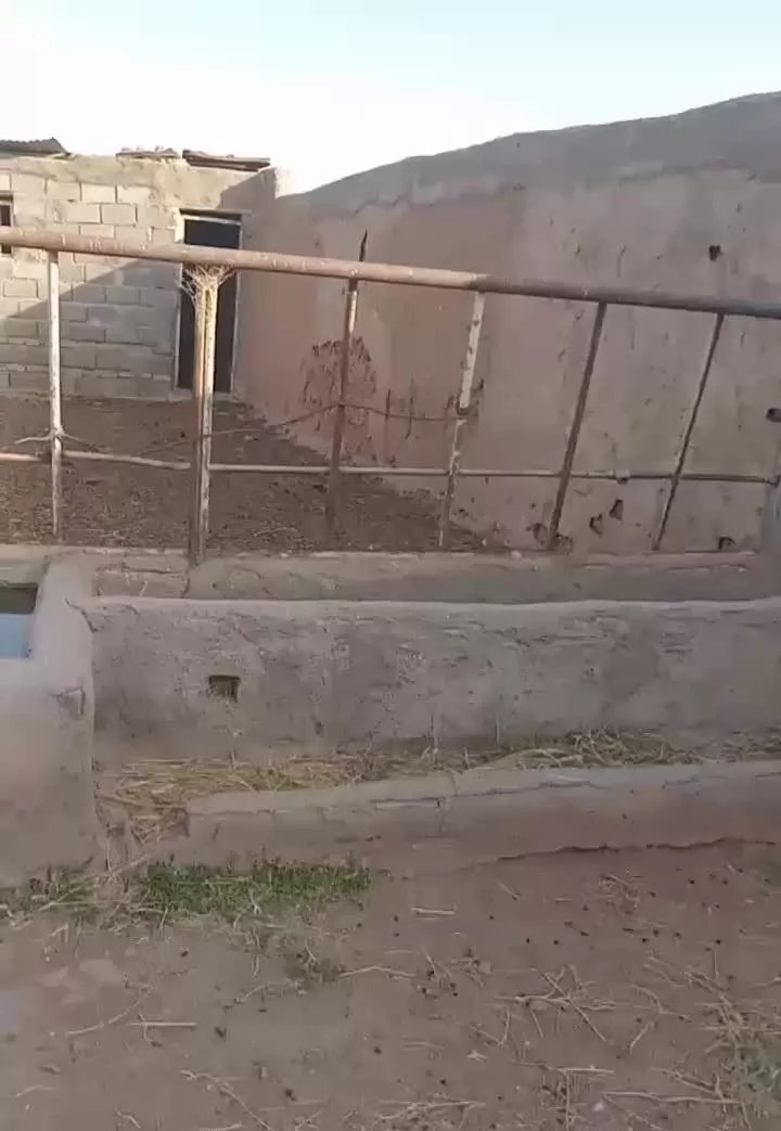 منزل مسکونی و دامداری