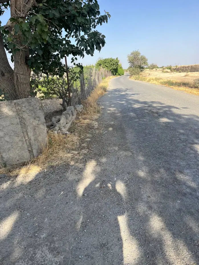 فروش زمین تنکمان (مزرعه کمال)