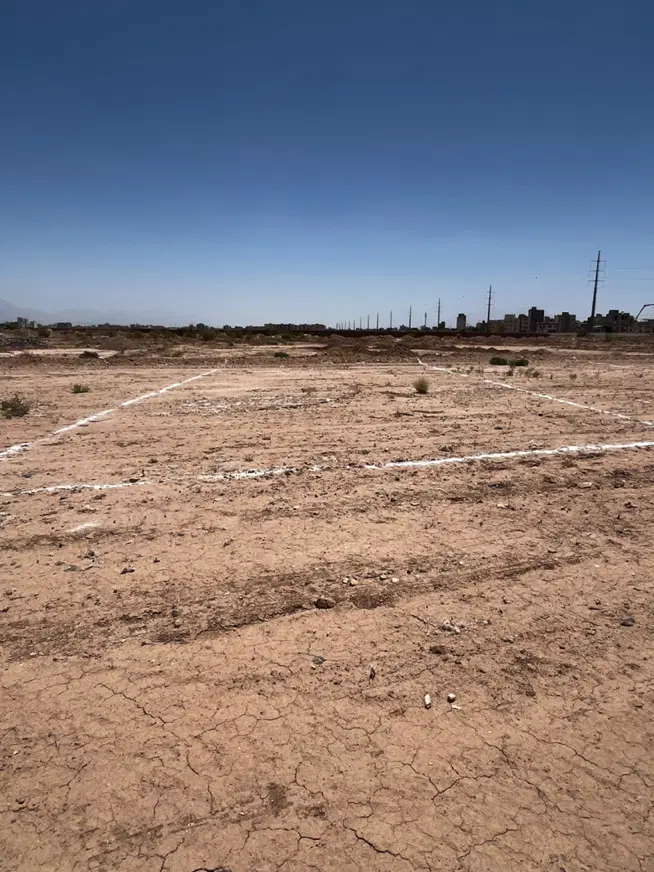 ۸ قصب امام حسن داخل محدوده