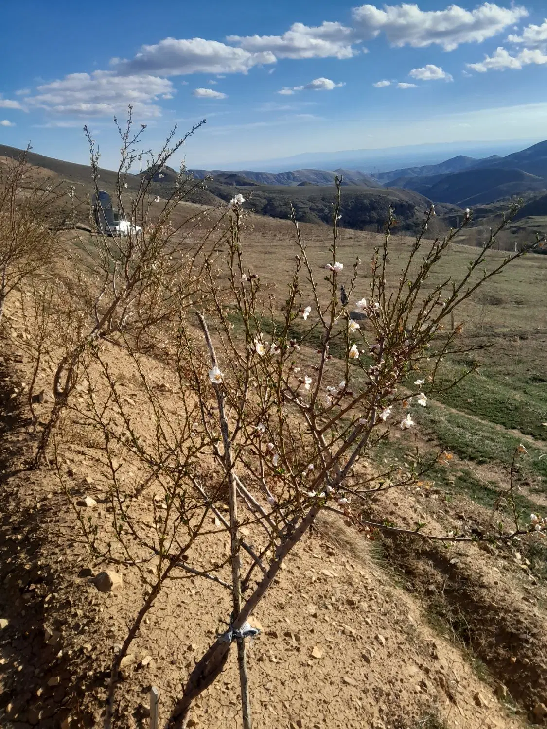 زمین به متراژهای مختلف روستای زرشک