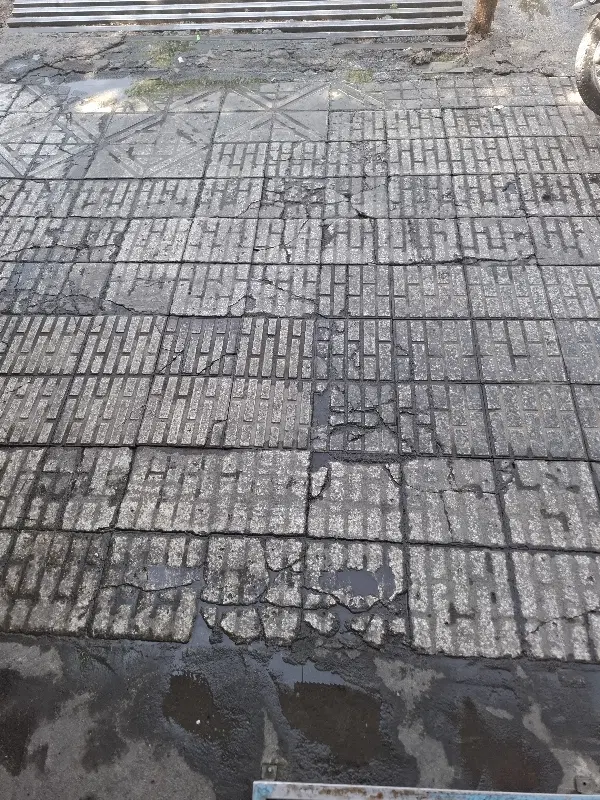 زمین مسکونی تک برگ 209 متر شمالی