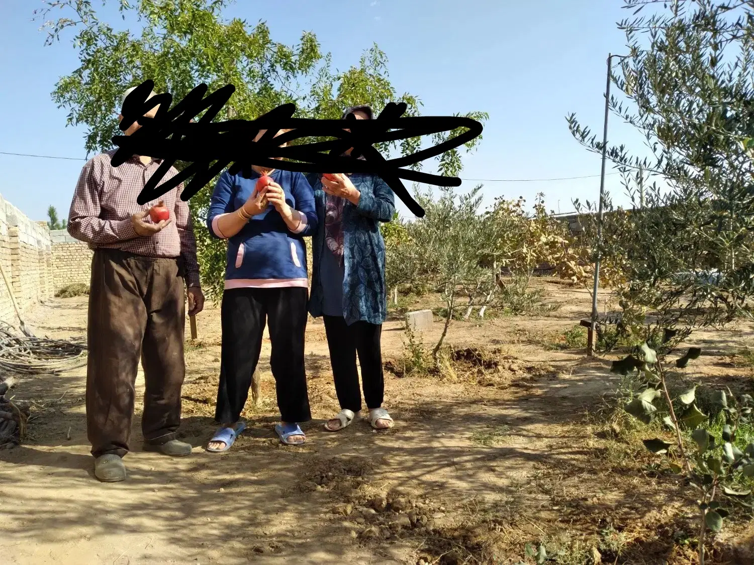باغچه وسوییت وحوضچه به متراژ۴۵۰متر