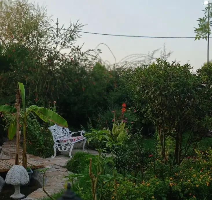 زمین باغی خارج از طرح