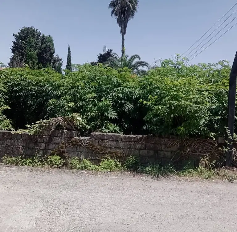 دو قطعه زمین یکی ۴۰۰ متر یکی ۲۰۰ متر