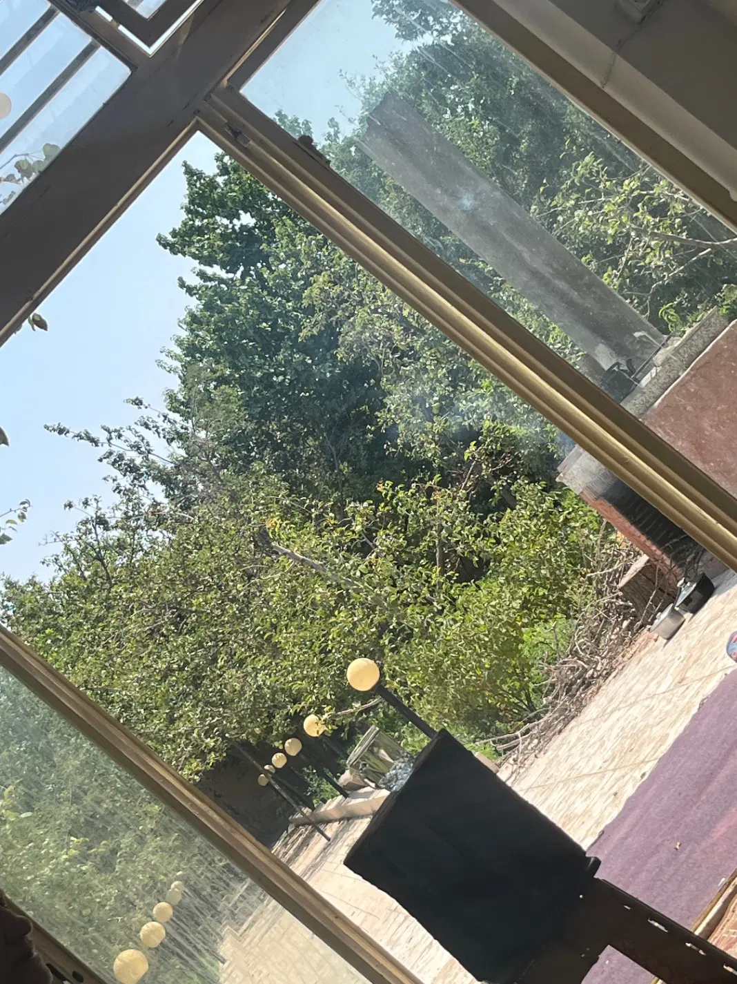 باغ گلابی