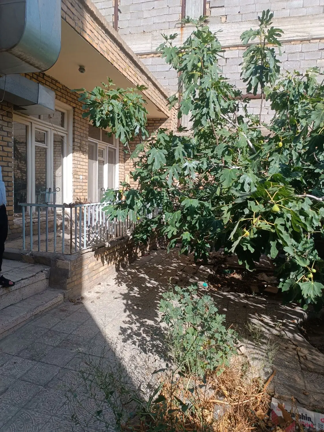 نیازمند ملک کلنگی برای مشارکت