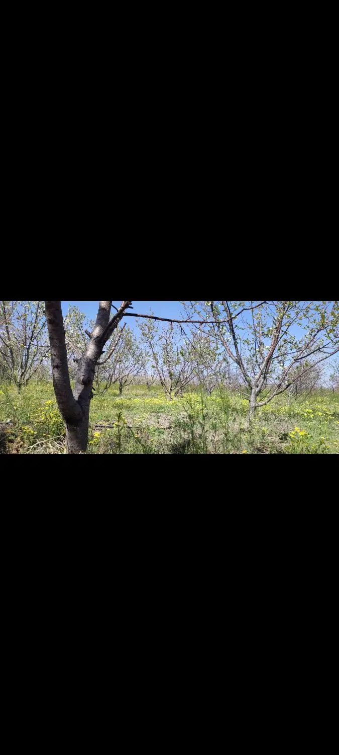۵۱۰متر باغ با سهمیه آب خوش آب و هوا