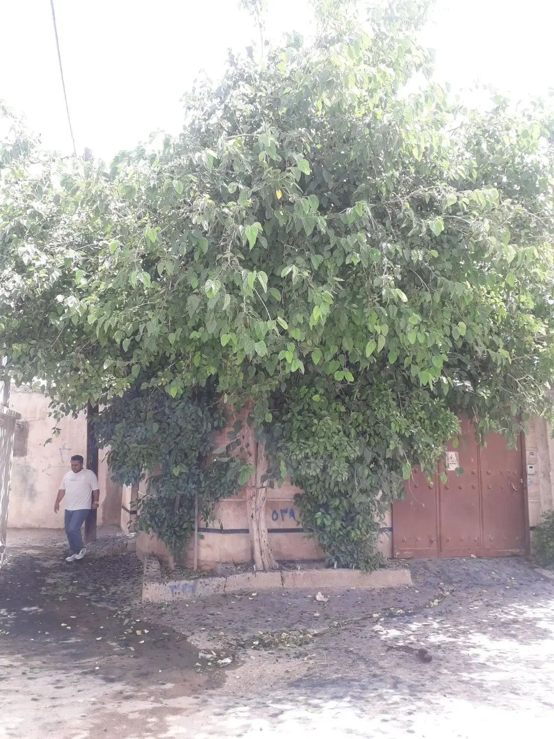 منزل دربست  120 متری