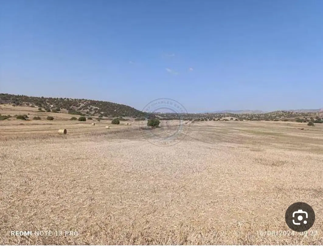 زمین فروشی حاشیه لادن