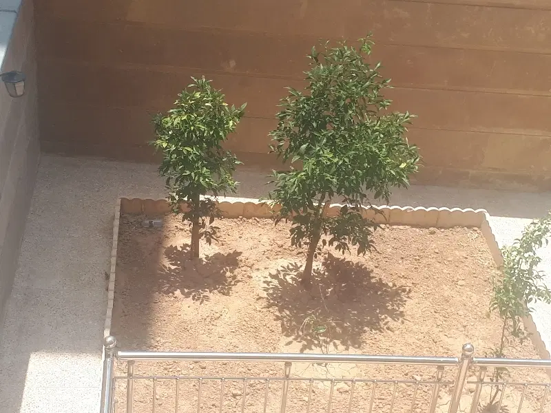 زمین۲۱۳ متر پشت دانشگاه پیام نور