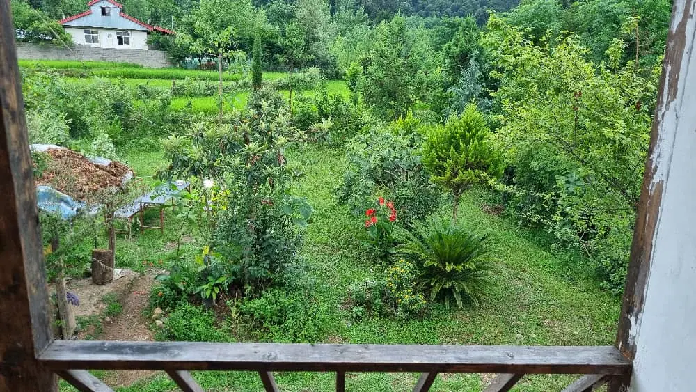 ویلا جنگلی