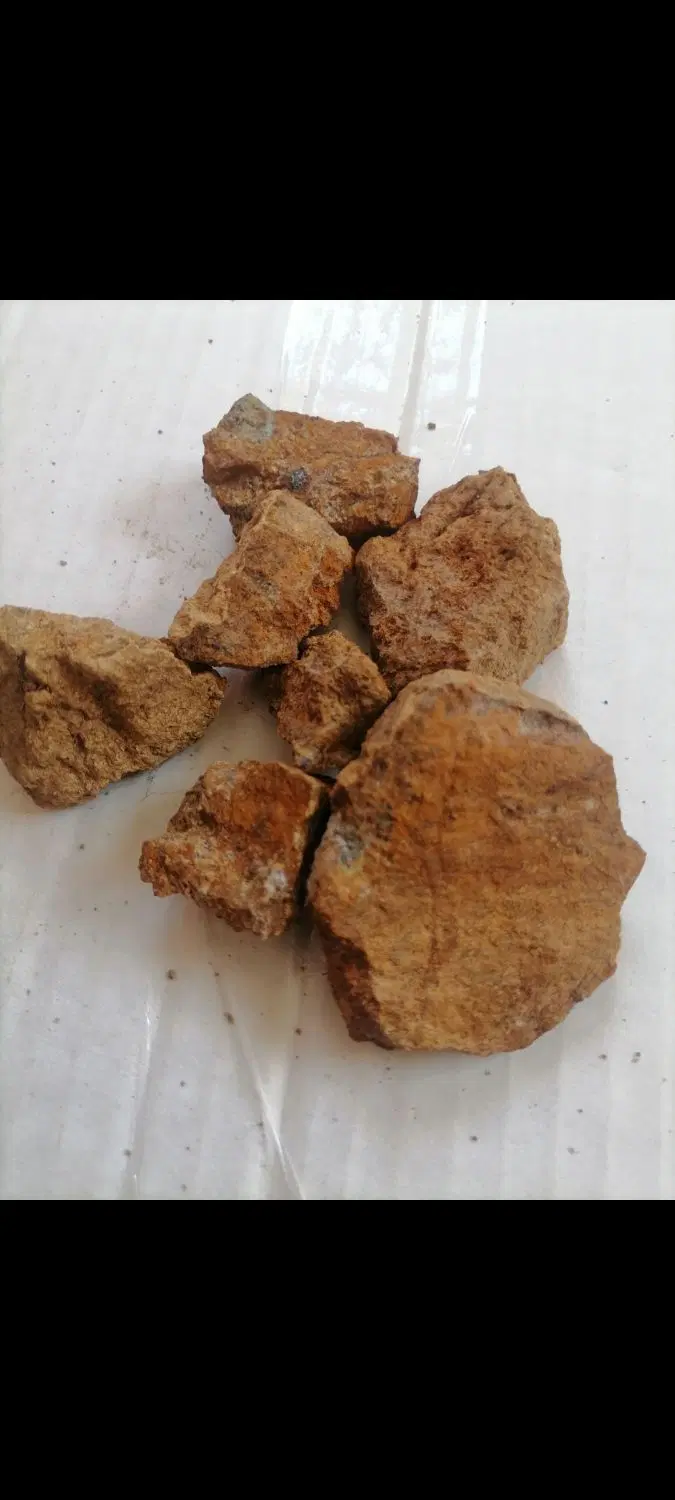 زمین باغی بناب