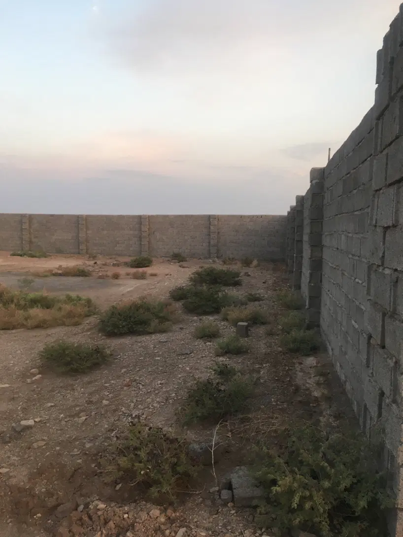 زمین با پروانه گلخانه