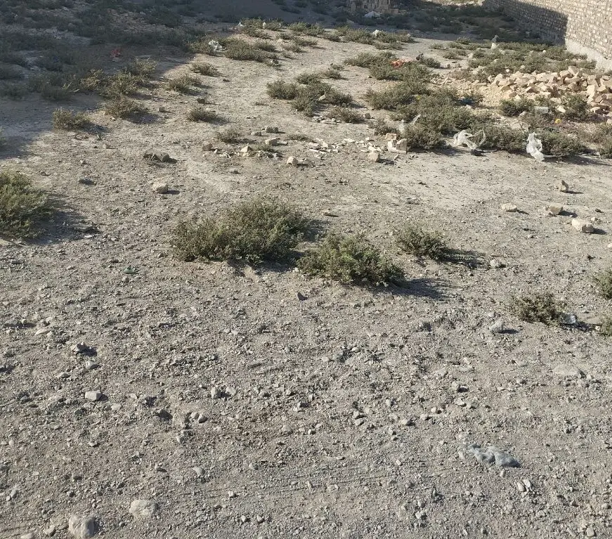 زمین سیادک زهدان  مرزبانی۲۰۰ متر