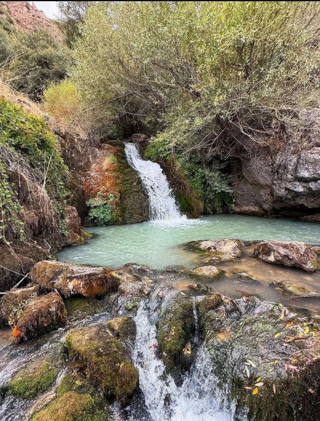 زمین برجاده اصلی