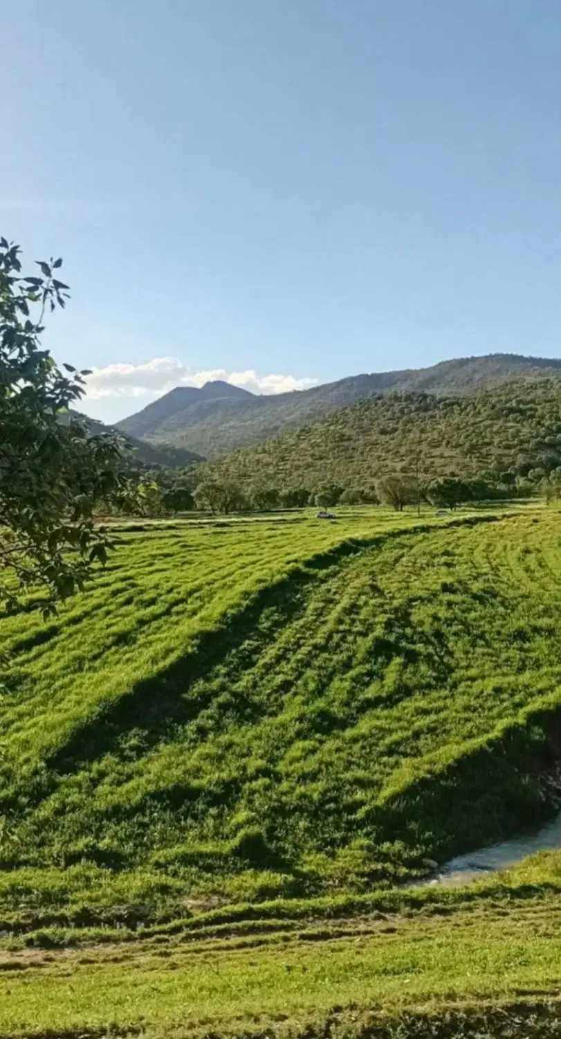 زمین