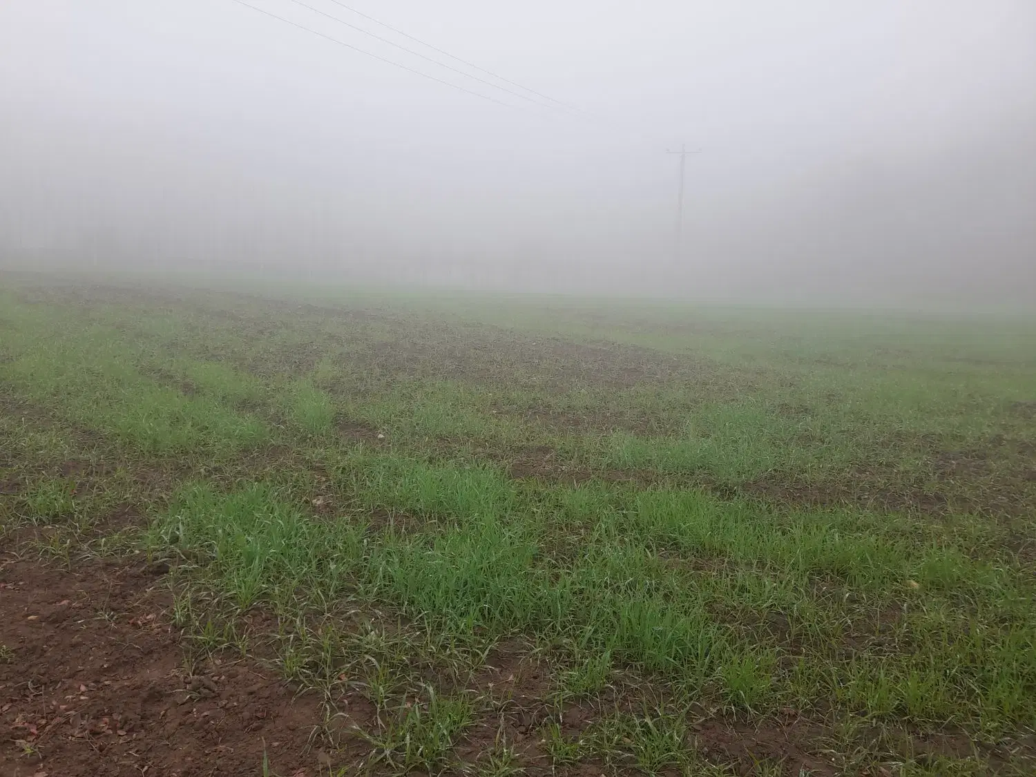 فروش۶زمین ۲۳۰  و بک قواره ۲۰۰ م کشاورزی  مسطح