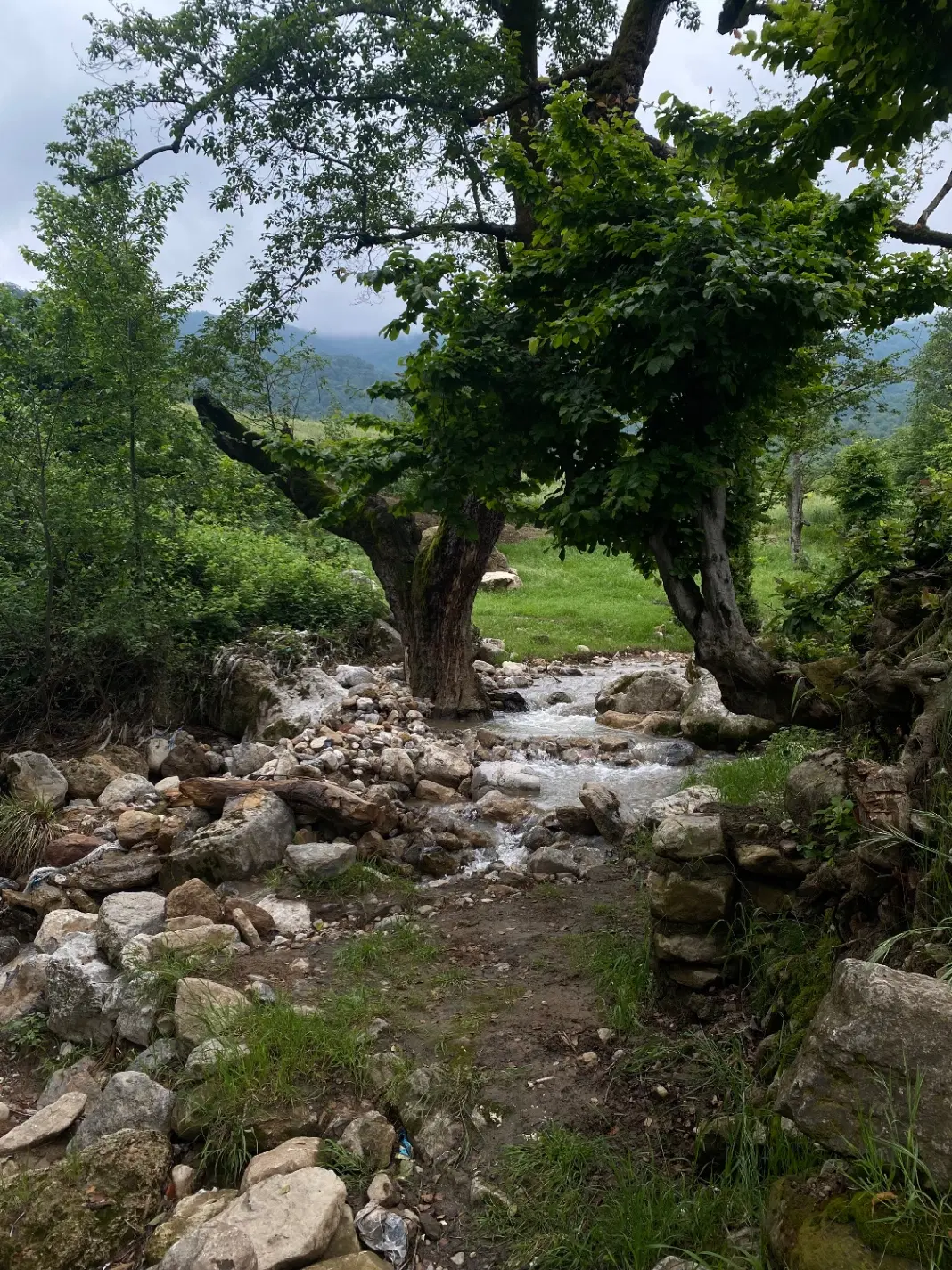زمین کشاورزی
