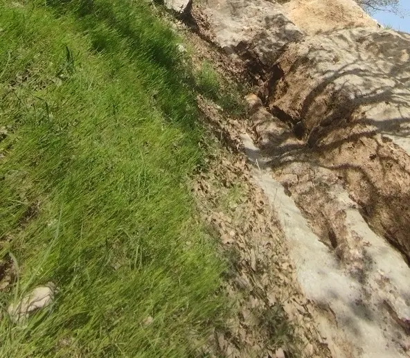 زمین مسکونی.