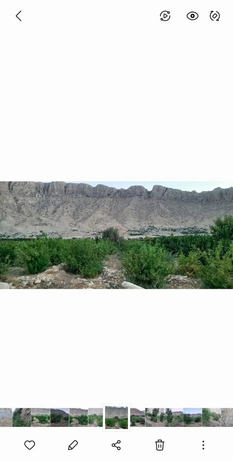 باغ و زمین