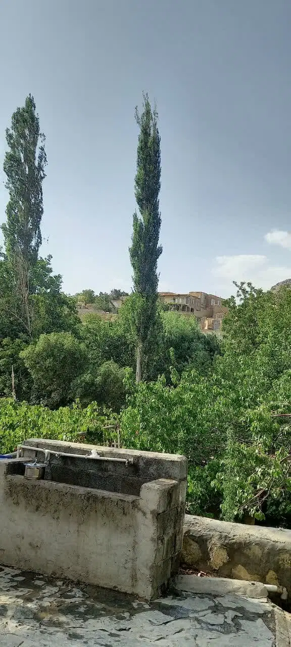 زمین دشت نظام اباد