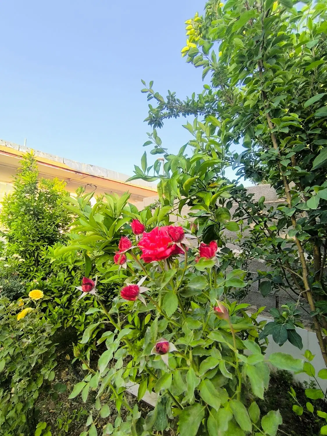 رهن و اجاره خانه در روستای گردشگری آتشکده
