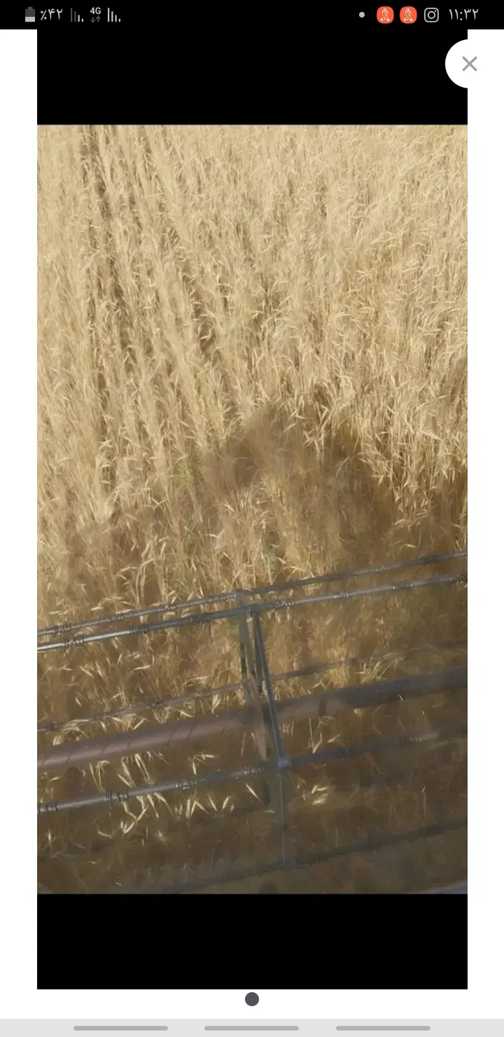 زمین کشاورزی