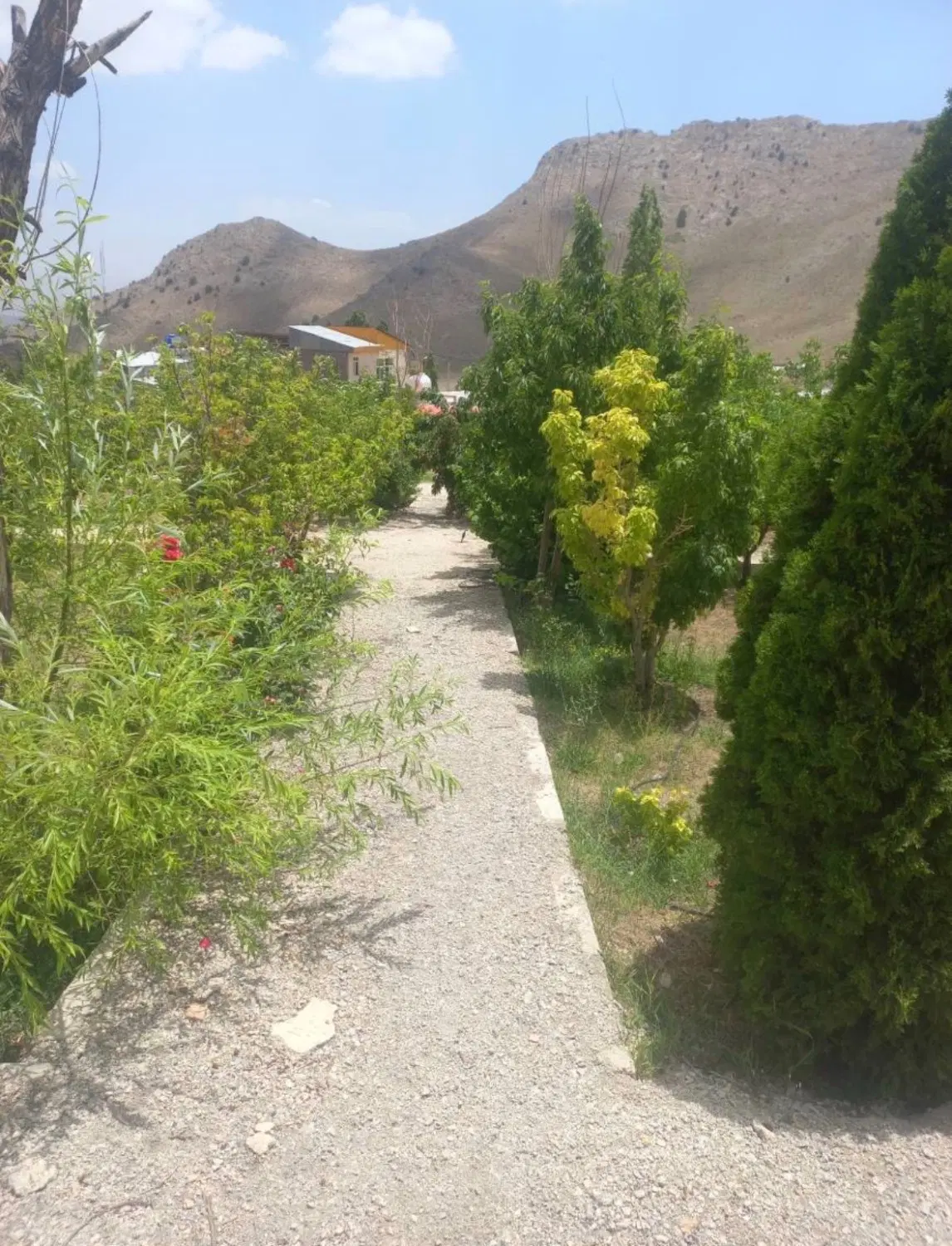 زمین
