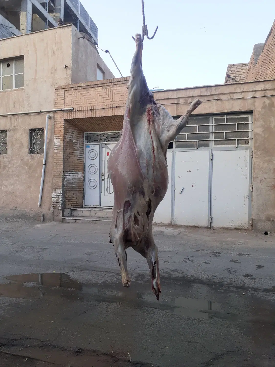 زمین فروشی میدان ۷ باغ