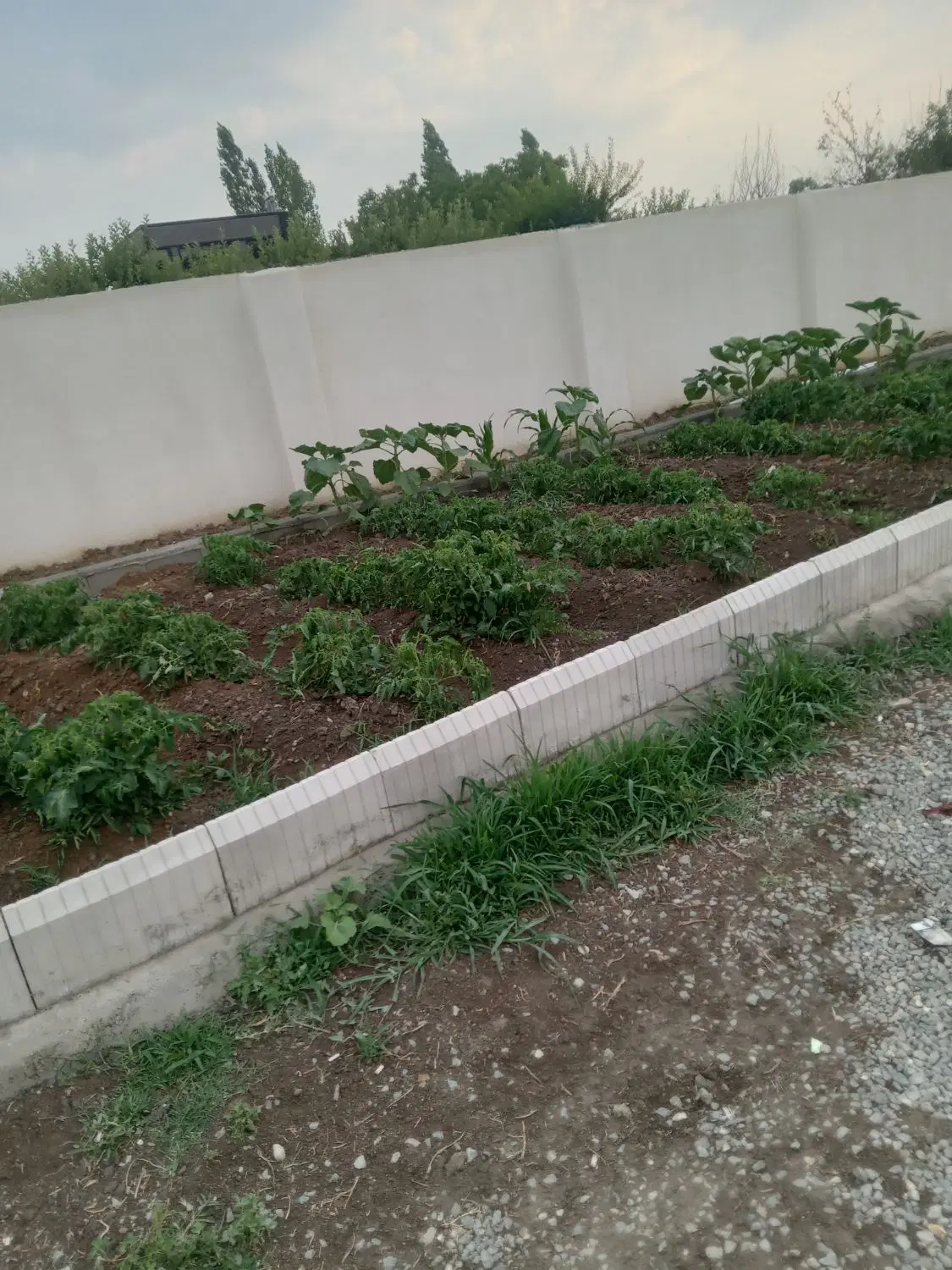 باغ و ویلا