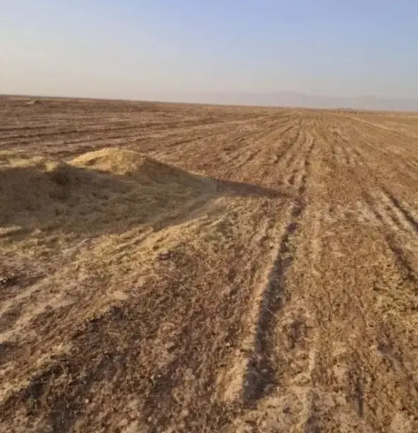 زمین کشاورزی در روستای چبسه حلاف جنب بروایه