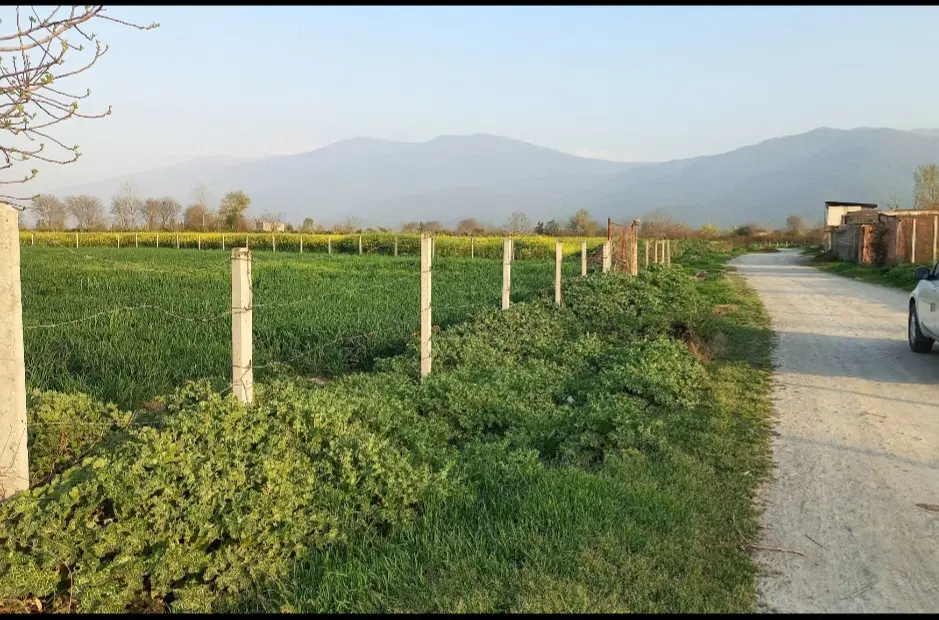 زمین حدود ۲۰۰۰ متر چسبیده به بافت روستای جفاکنده