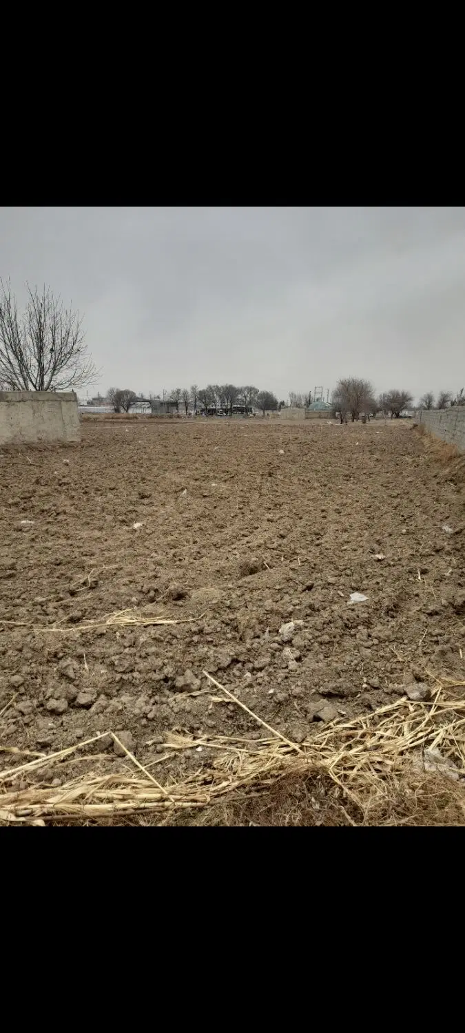 زمین