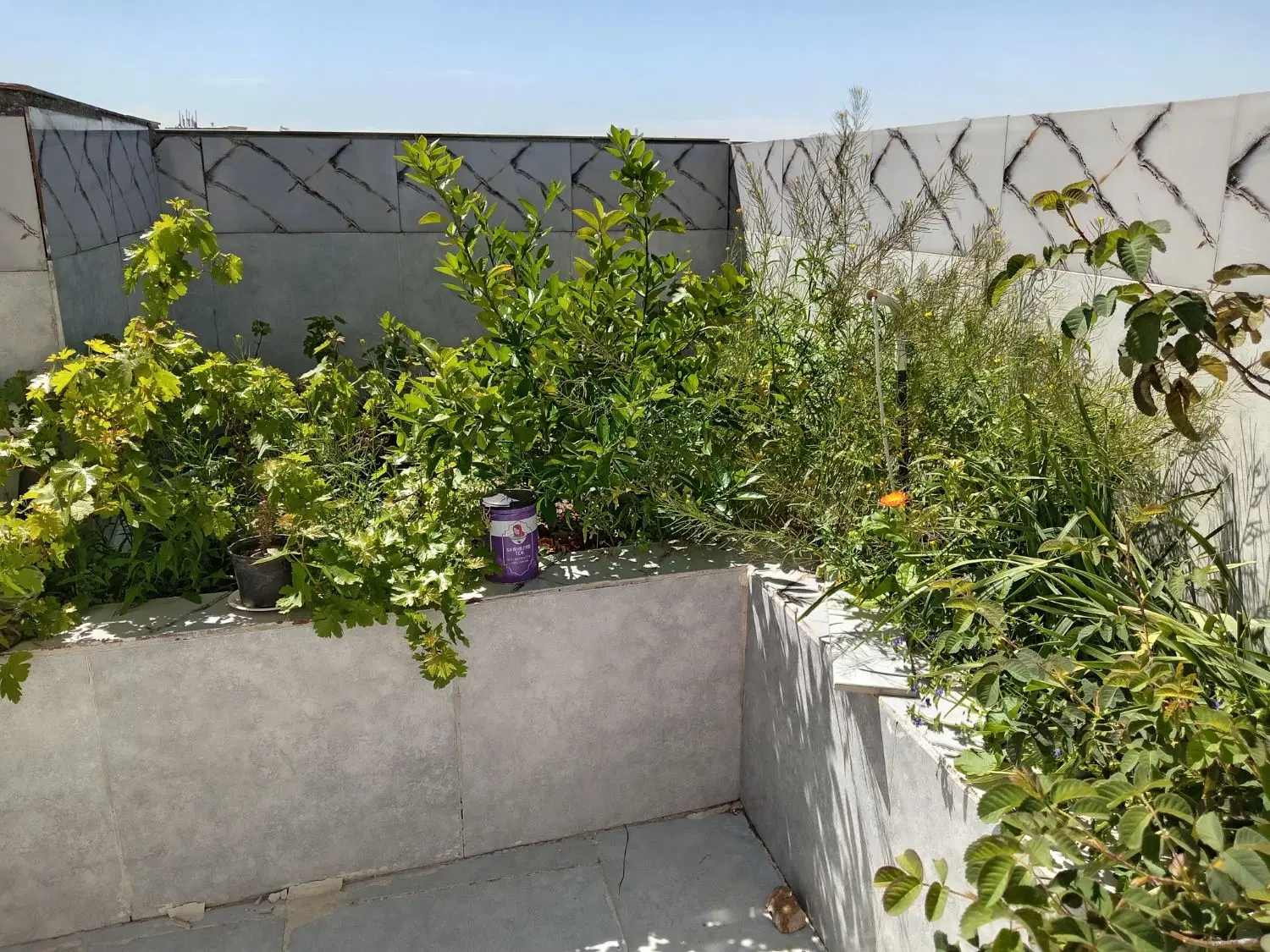 فروش همکف از دو طبق