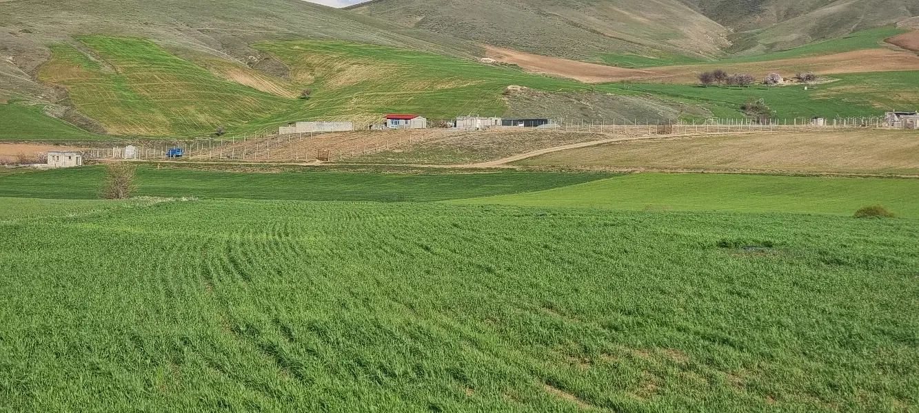 زمین کشاورزی ابی