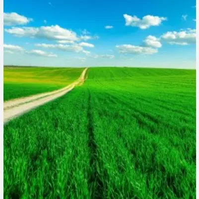 تحویل