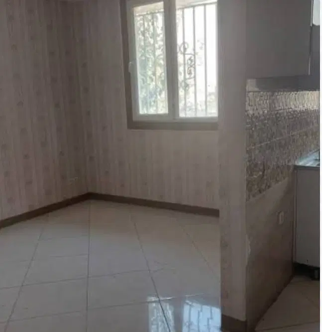 هم خونه.