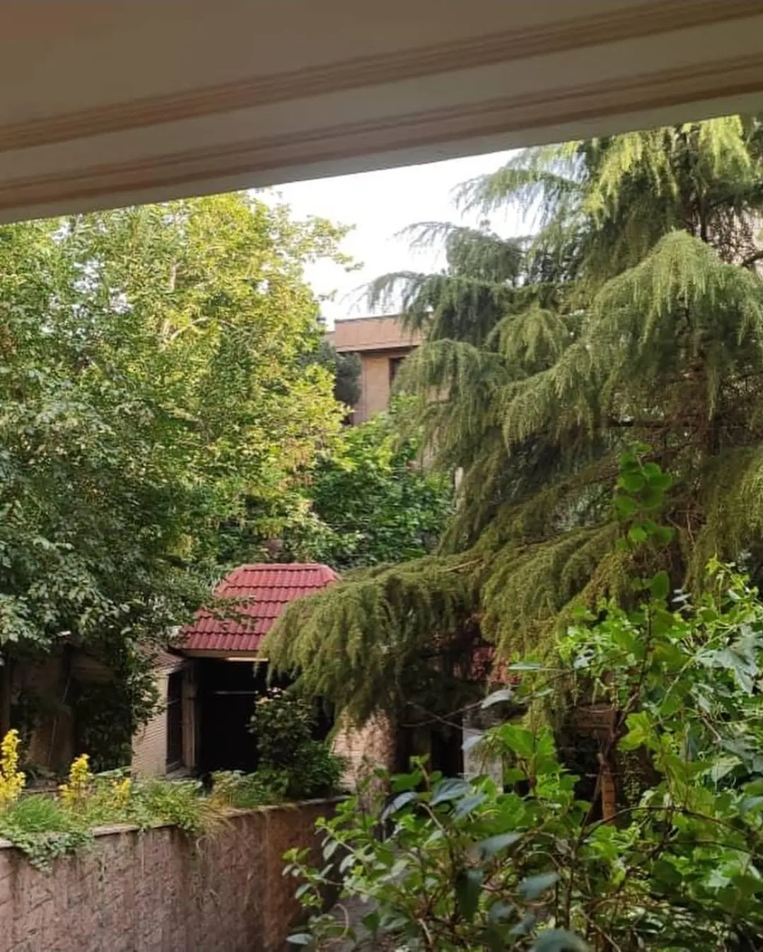 ۴۵متر در برج باغ لوکس، شاهکار_ تمام امکانات رفاهی
