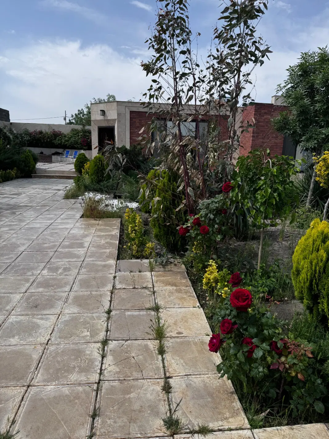 باغ کاهو میلان شرکت برق
