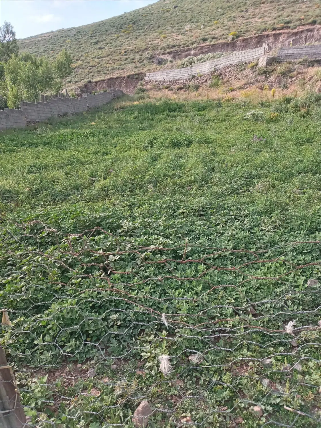 فروش زمین در روستای موئیل
