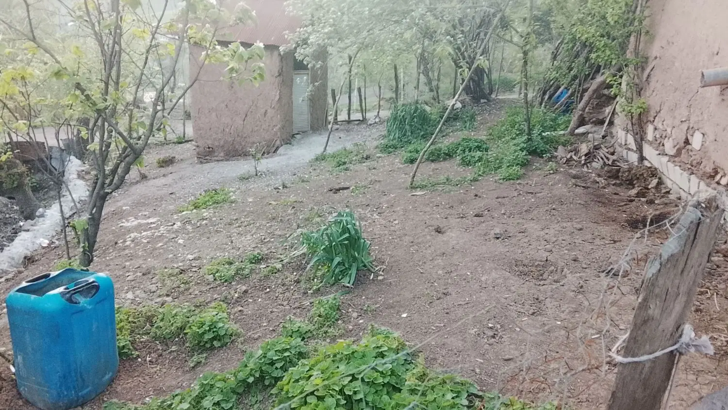فروش باغ نسکونی