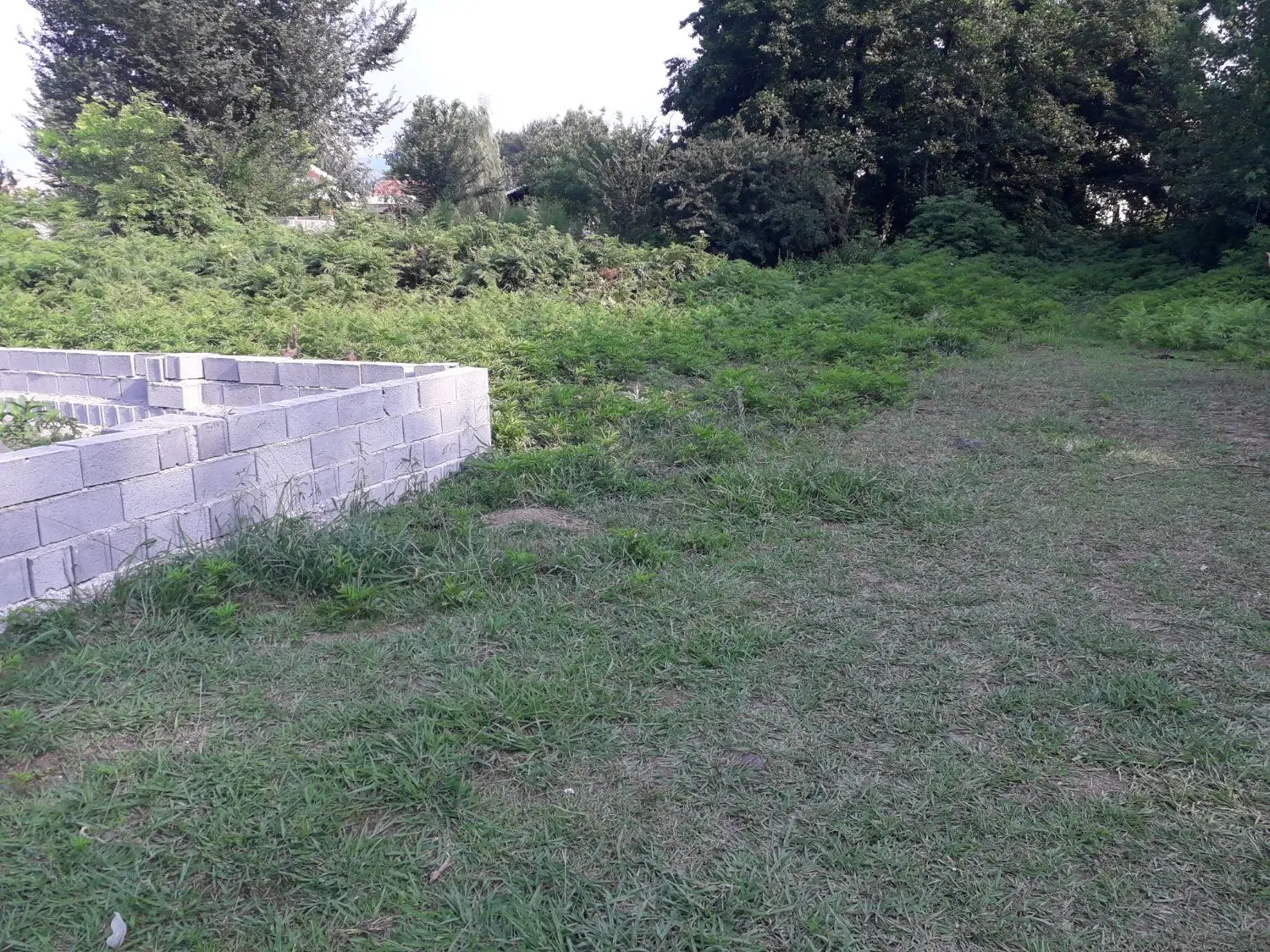 زمین ۲۶۴متری