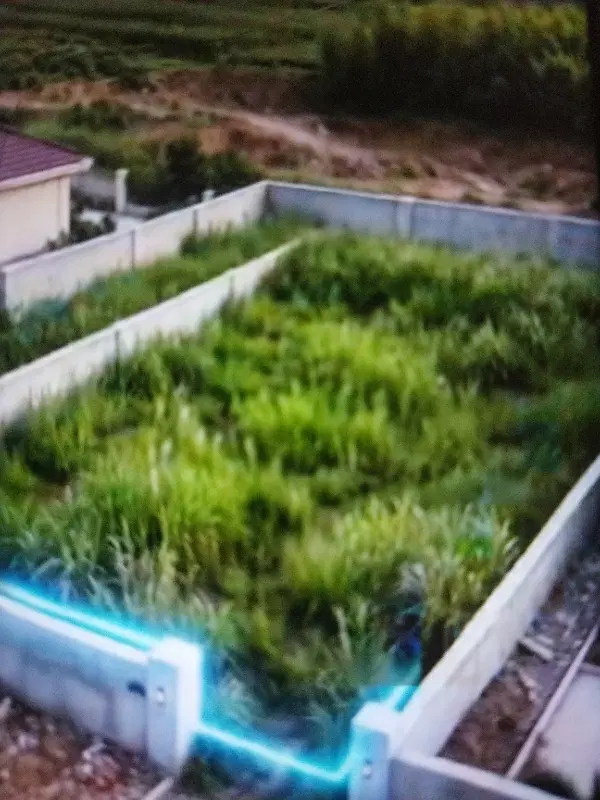 رهن و اجاره ویلایی