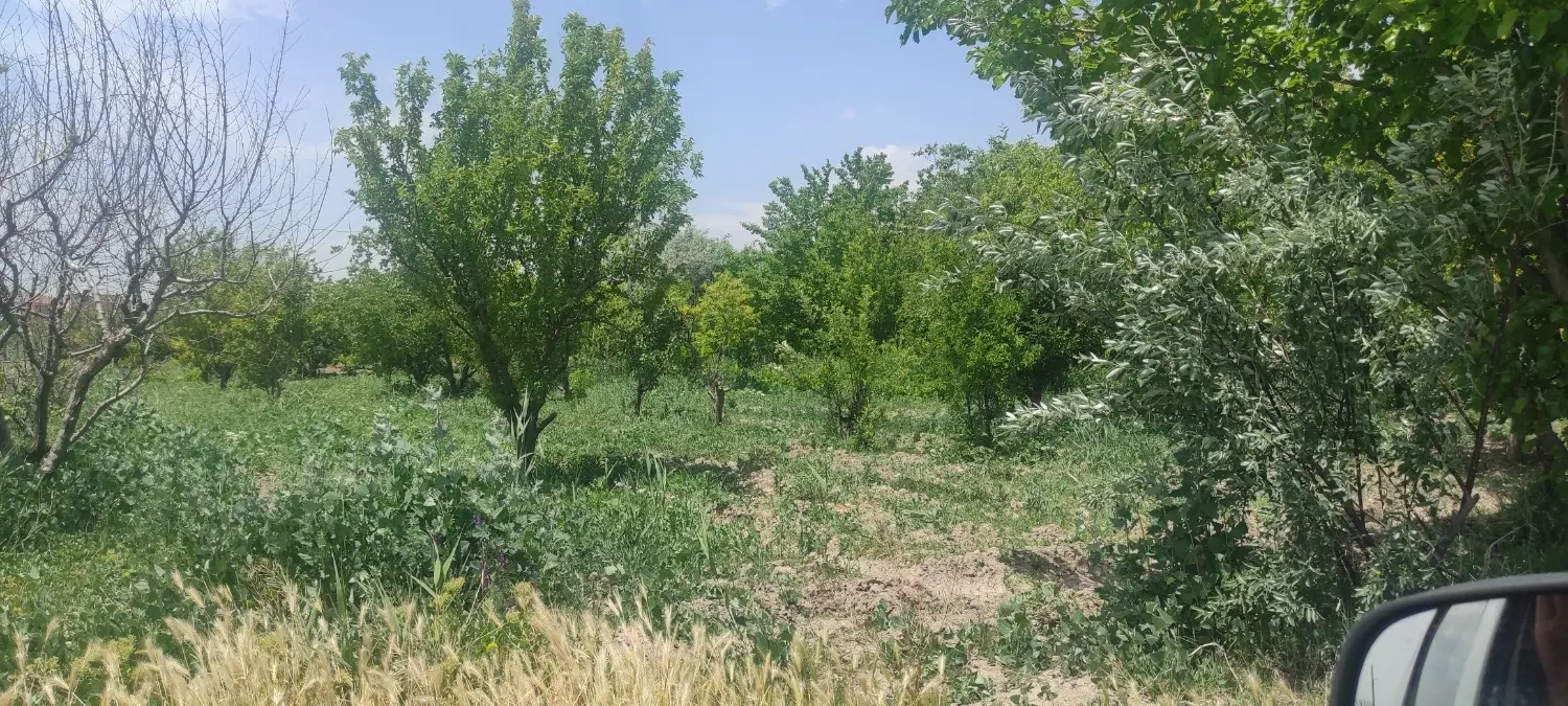 فروش زمین خالی یا معاوضه با خودرو