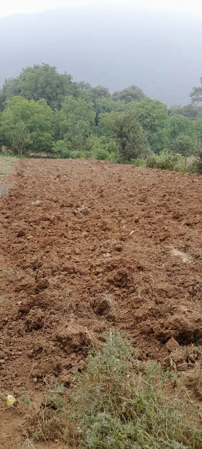 افراتخته فروش زمین کشاورزی