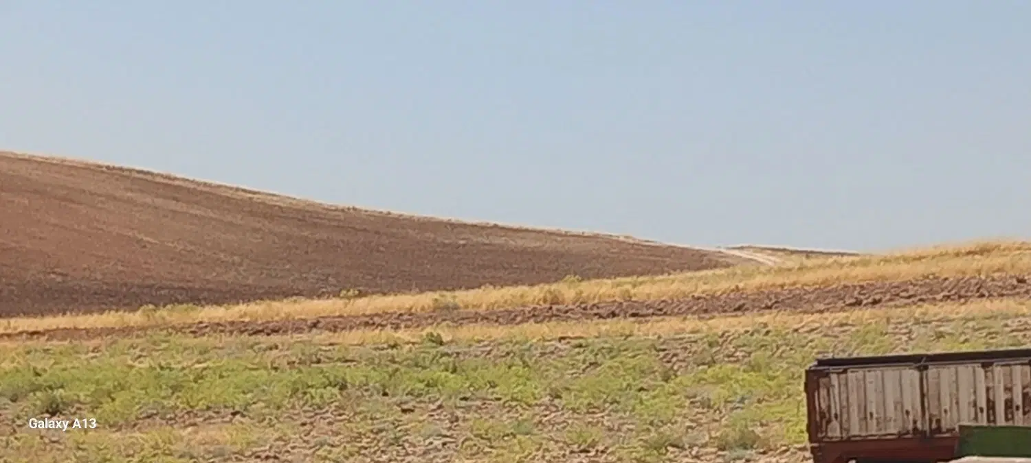 زمین کشاورزی