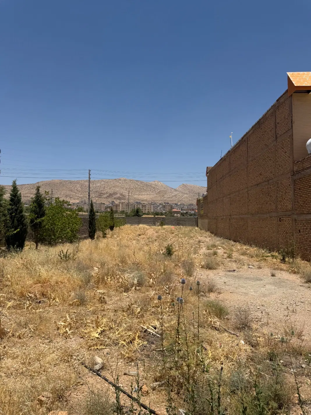 زمین ۱۲۰۰متر صدرا